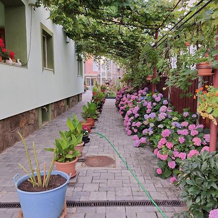 Rodica Apartment Sibiu Exterior foto