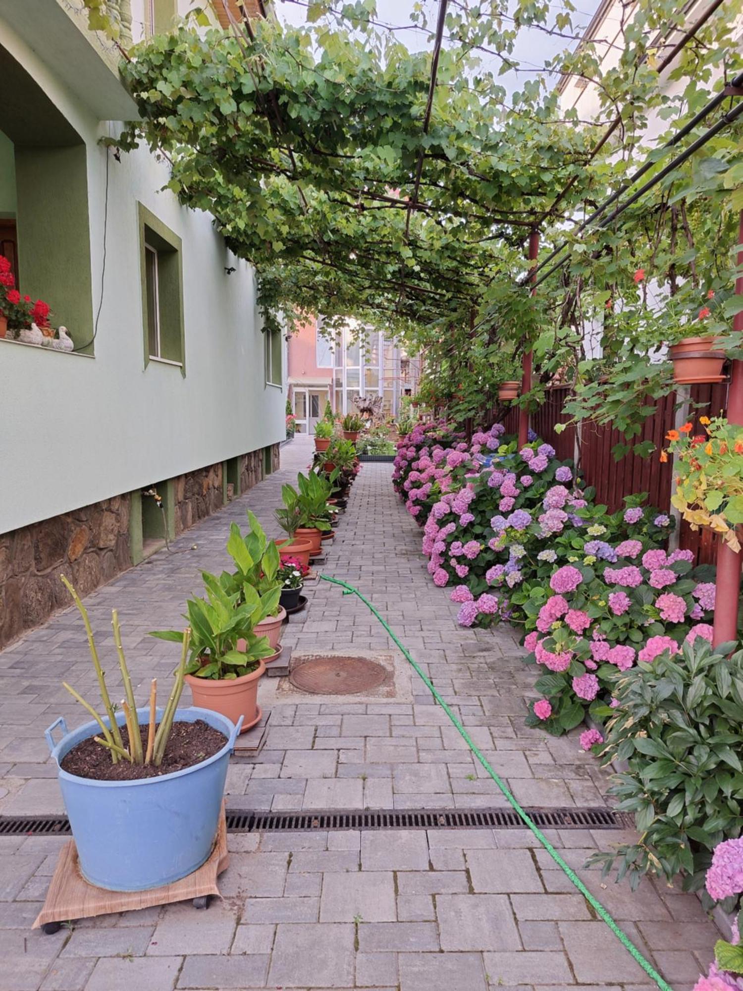 Rodica Apartment Sibiu Exterior foto